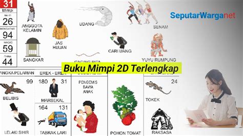 BUKU MIMPI 2D LENGKAP 🌀 tafsir mimpi 3d bergambar - No Erek Erek 2D Abjad A-Z Tak