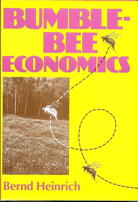 Bumblebee Economics