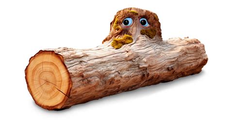 Bump On A Log
