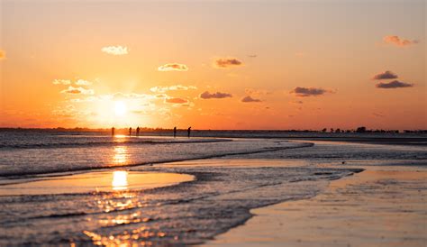 bunche beach florida
