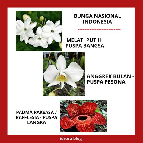 Bunga Nasional Indonesia