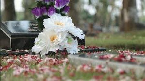 bunga yang cocok ditanam di makam