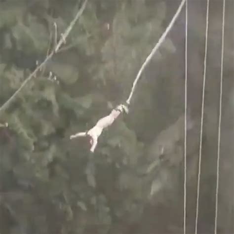 bungee jumping nude