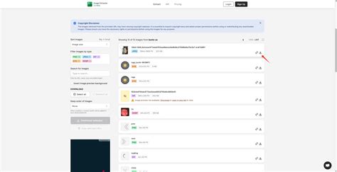 bunkr OnlyFans leaked content