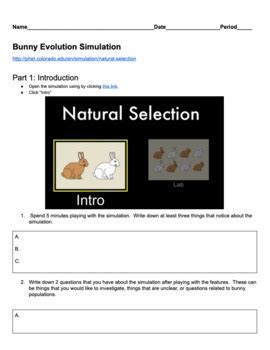 bunny evolution simulation answers the biology corner