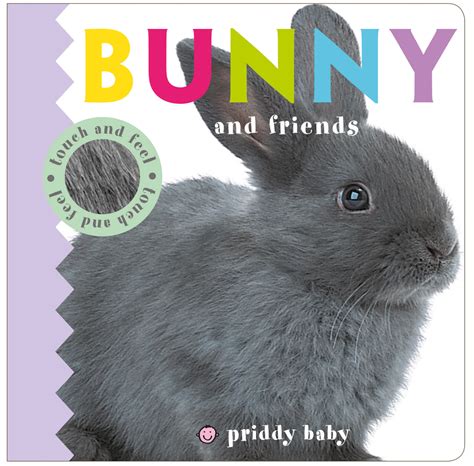 Download Bunny And Friends Touch And Feel Baby Touch And Feel 