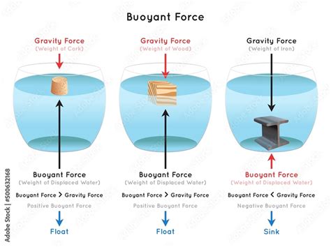 Buoyancy Amp Buoyant Force Physics Video Clutch Prep Buoyancy And Archimedes Principle Worksheet - Buoyancy And Archimedes Principle Worksheet