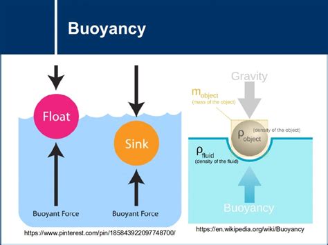 Buoyancy Effects In Fluids