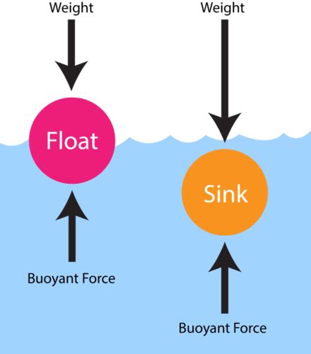 Buoyancy Science Untamed Science Buoyancy Science Experiments - Buoyancy Science Experiments