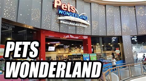 burstable pets wonderland online
