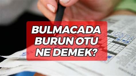 Burun Otu Bulmaca