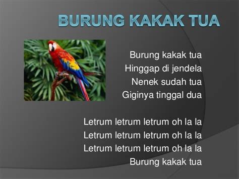 BURUNG KAKAK TUA LIRIK 🪶 Burung Kaka Tua. - Lyrics and Music by Gerson N Friends