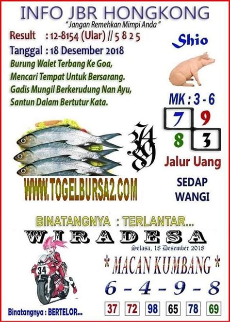 BURUNG WALET TOGEL - NOMOR TOGEL BURUNG WALET - 3 Sebelum membuat sarang