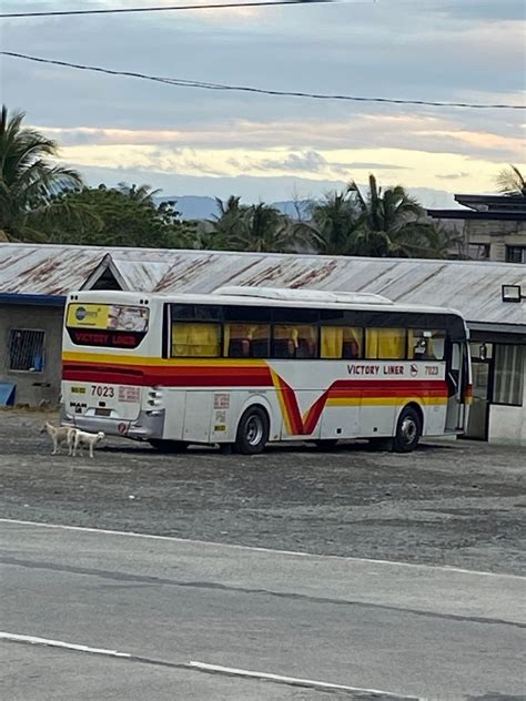 Bus Auras