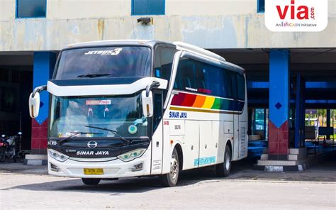 BUS4D TERBESAR - Bergabunglah dan jelajahi dunia virtual yang menan