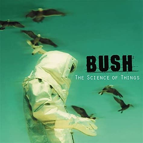 Bush The Science Of Things Remastered Album Ratings Things To Do In Science - Things To Do In Science