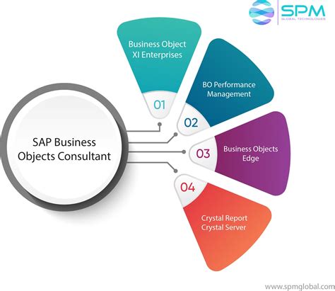 business objects sap manual dummies