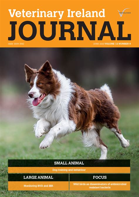 Read Business I At Your Service Veterinary Ireland Journal 