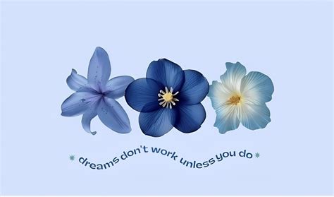 codini.rgarabwor.edu.pl. 