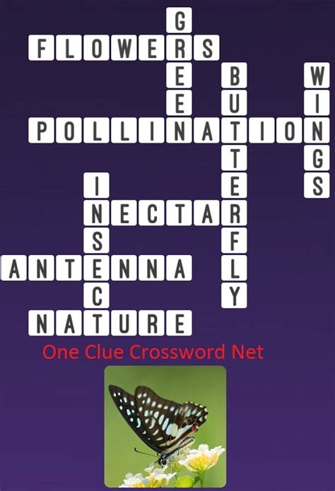Butterfly Attracting Flower Crossword Clue Wordplays Com Butterfly Attracting Flowers Crossword - Butterfly Attracting Flowers Crossword