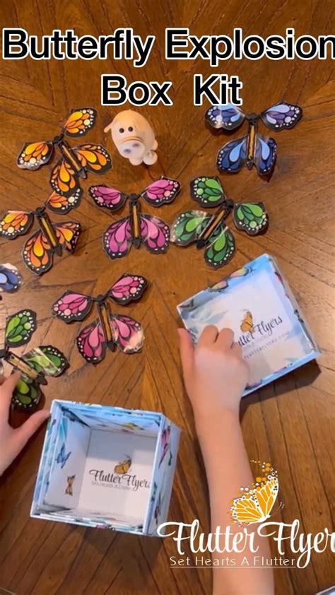 Butterfly Box