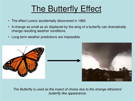 Butterfly Effect Meaning