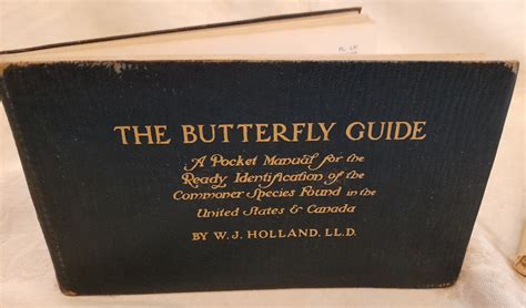 Butterfly Guide Book