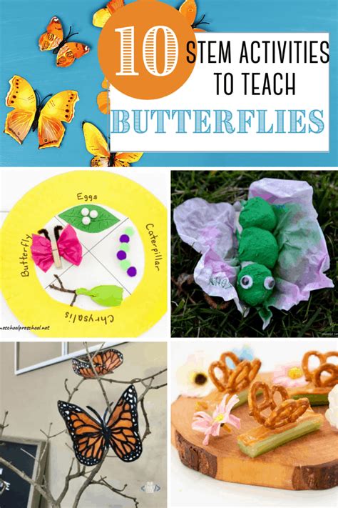 Butterfly Stem Activities For Your Preschooler Homeschool Preschool Life Science Activities For Preschoolers - Life Science Activities For Preschoolers