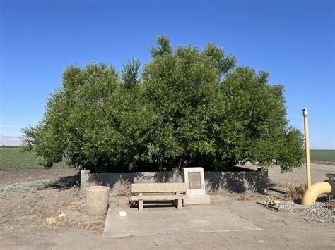 buttonwillow california