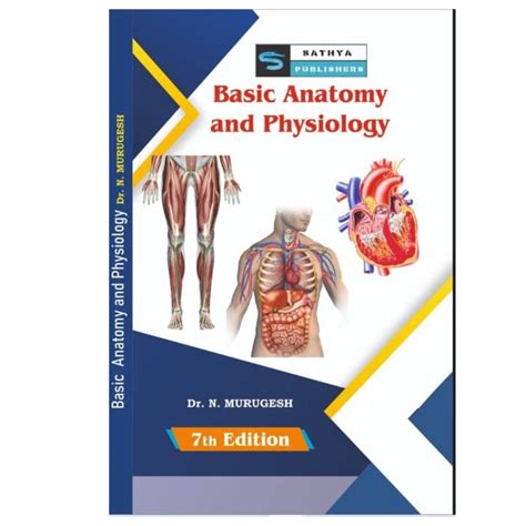 Buy Basic Anatomy Physiology N Murugesh
