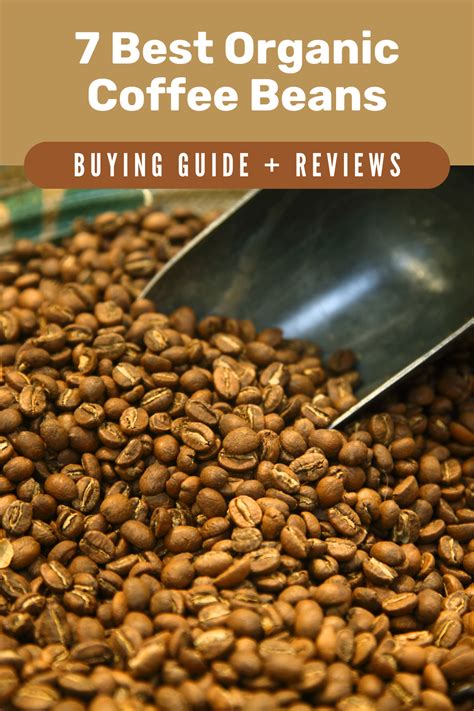 Download Buying Guide Reviews 