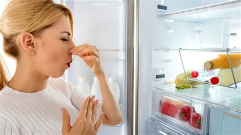 buzdolabı bozulmuş et kokusu nasıl giderilir