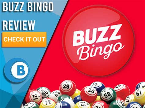 buzz bingo free bingo