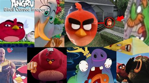 by cursed Angry Birds