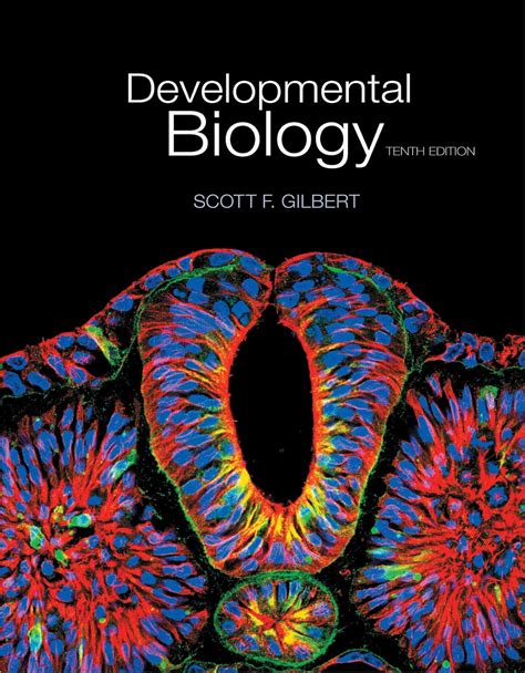 By Scott F Gilbert Developmental Biology Looseleaf Tenth Edition 10th Edition
