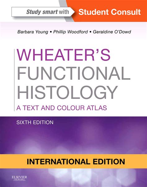 Read By Barbara Young Bsc Med Scihons Phd Mb Bchir Mrcp Frcpa Wheaters Functional Histology A Text And Colour Atlas 5E 5Th Edition 312006 