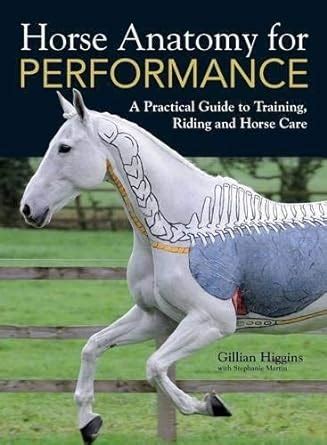 Download By Gillian Higgins Horse Anatomy For Performance A Practical Guide To Training Riding And Horse Care 32812 