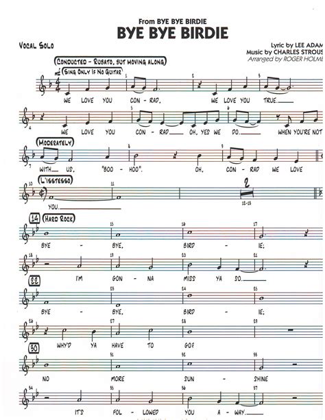 Bye Bye Birdie Libretto