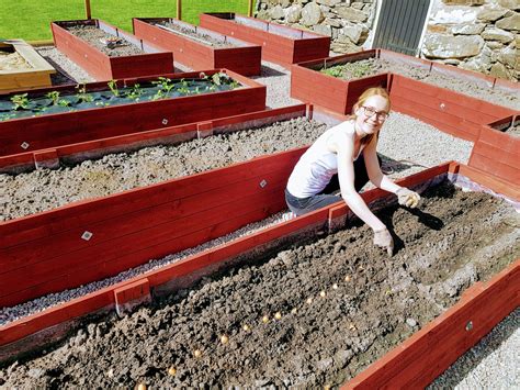 bygga odlingsbädd