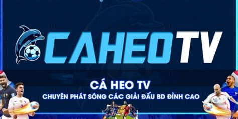 cá heo.link | ca heo link