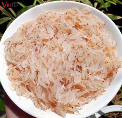 cách làm mắm ruốc | Mm ruc l g Cch lm mm