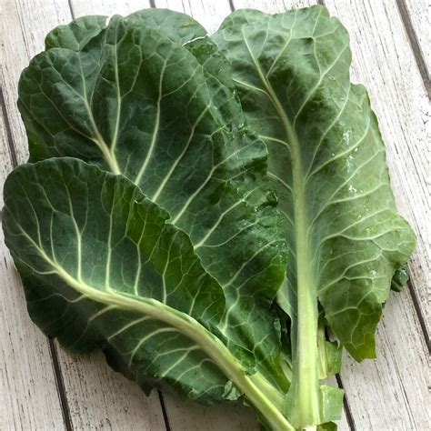 cải rổ | Li ch tuyt vi ca rau ci