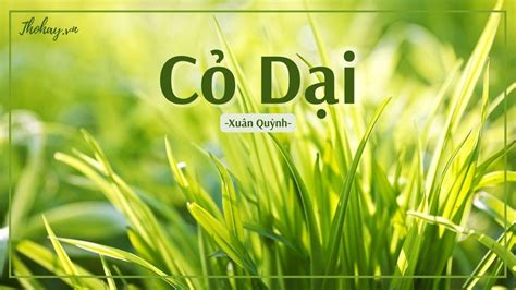 cỏ | Cc loi c trng sn vn c