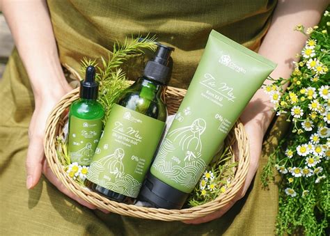 cỏ mềm | C Mm CHNH HNG Gi Tt Mi