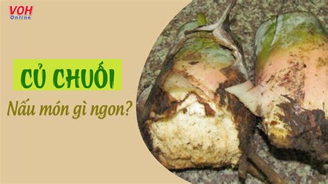 củ chuối | Hng v qu hng Xa qu nh