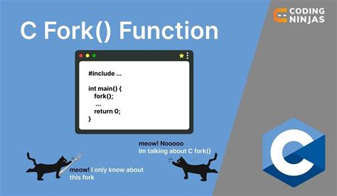 c++ template function Coding Ninjas