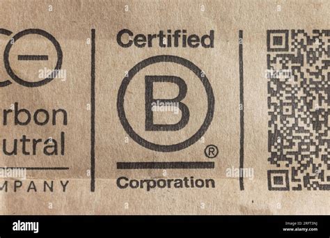 C C B A Certified Business Analysis Study Guide