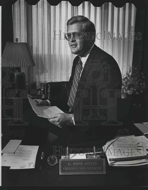 c dowd ritter biography