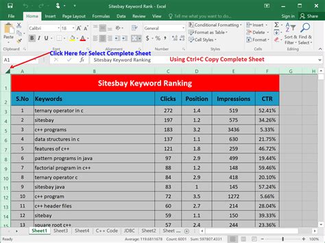 C Openxml Copy And Paste Excel Sheet To Cloning Worksheet Answer Key - Cloning Worksheet Answer Key