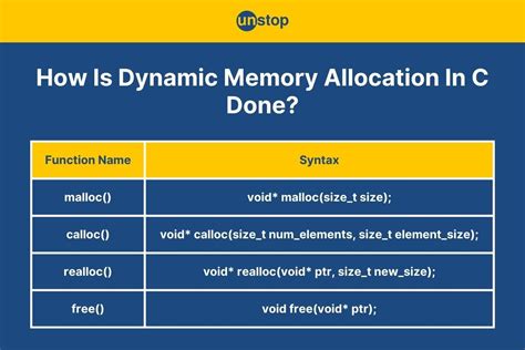 C Pointers And Dynamic Memory Management